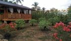 2 Hectares Farm in Mulanay Quezon