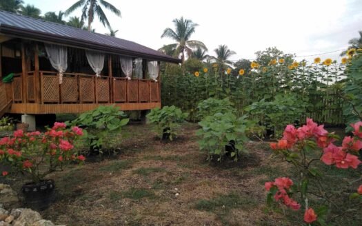 2 Hectares Farm in Mulanay Quezon